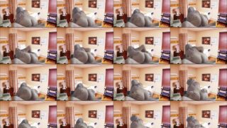 Video abg viral yandex janda apem mulus gede atas bawah di bikin puas cowo abg viral Global Trending Top New 2025 Terbaru